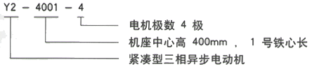 YR系列(H355-1000)高压YJTFKK4502-2/560KW三相异步电机西安西玛电机型号说明